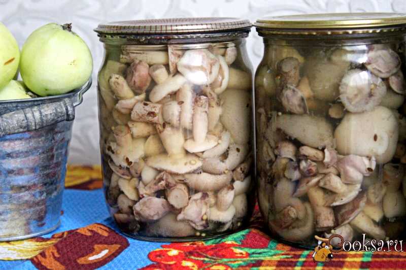 Кабачки, как грибы, на зиму: 4 вкусных рецепта заготовок