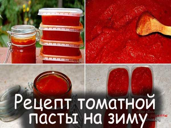 Как приготовить томатную пасту на зиму из помидор вкусно: отзывы и советы поваров, изменение порционности, пошаговые фотографии, личная кулинарная книжка, поиск блюд по составу