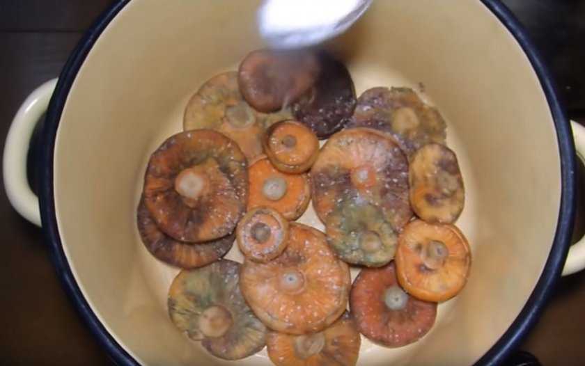 Как заготовить жареные рыжики на зиму: фото, видео, рецепты приготовления грибов способом жарки
