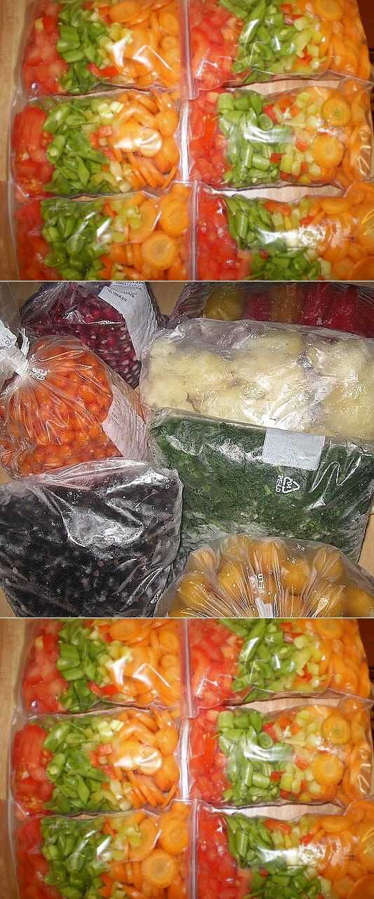 Как заморозить овощи для рагу на зиму в домашних условиях: состав смесей и способы заморозки » сусеки