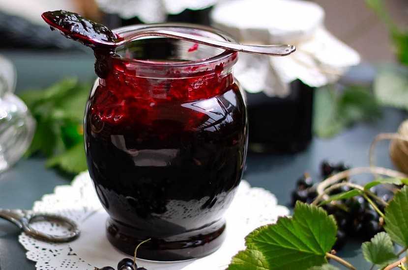 Варенье из черной бузины: 7 рецептов приготовления