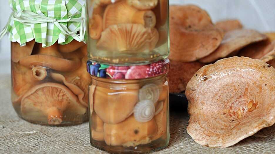 Как мариновать рыжики на зиму в стеклянных банках: рецепты маринования грибов с фото и видео