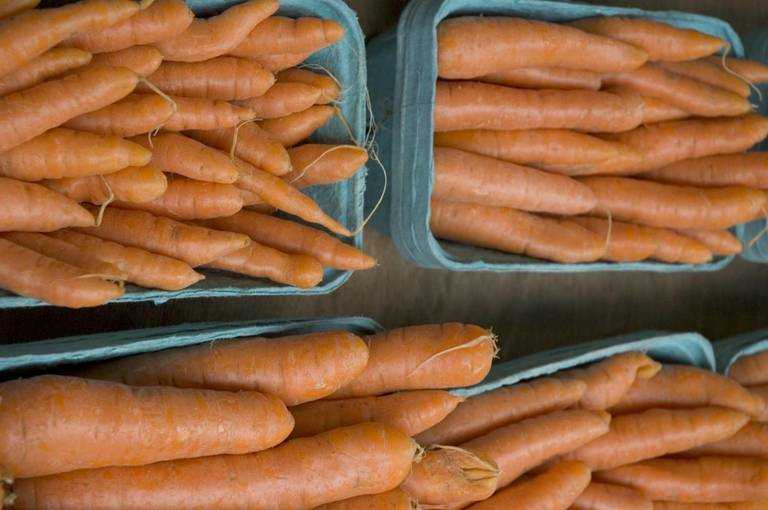 Как правильно заготовить ботву моркови