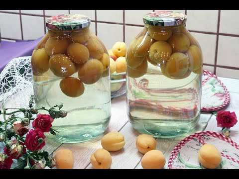 Как приготовить компот из абрикосов на зиму с медом и корицей: поиск по ингредиентам, советы, отзывы, подсчет калорий, изменение порций, похожие рецепты