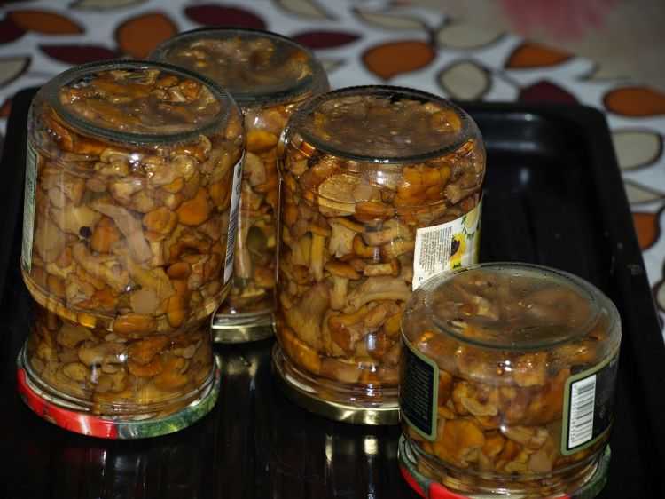 Маринованные белые грибы на зиму в банках — простые рецепты приготовления самых вкусных заготовок