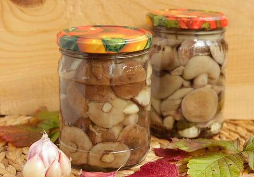 Белые грибы на зиму: топ-6 лучших рецептов, пошаговое приготовление