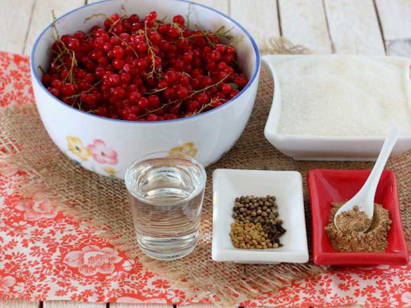 Пошаговые рецепты приготовления соуса из красной смородины на зиму