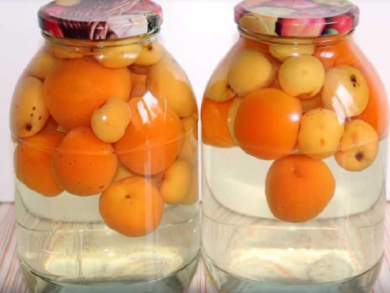 Компот из абрикосов с апельсином - 4 рецепта на зиму с фото пошагово