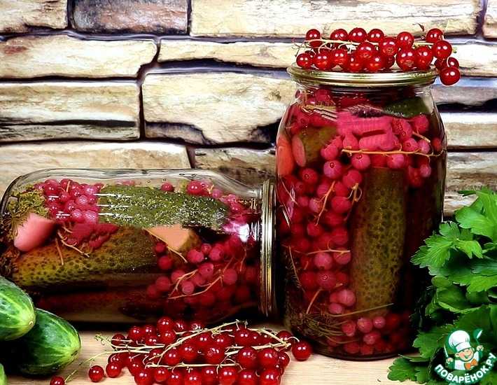 Компот из крыжовника мохито на зиму: 10 лучших пошаговых рецептов приготовления