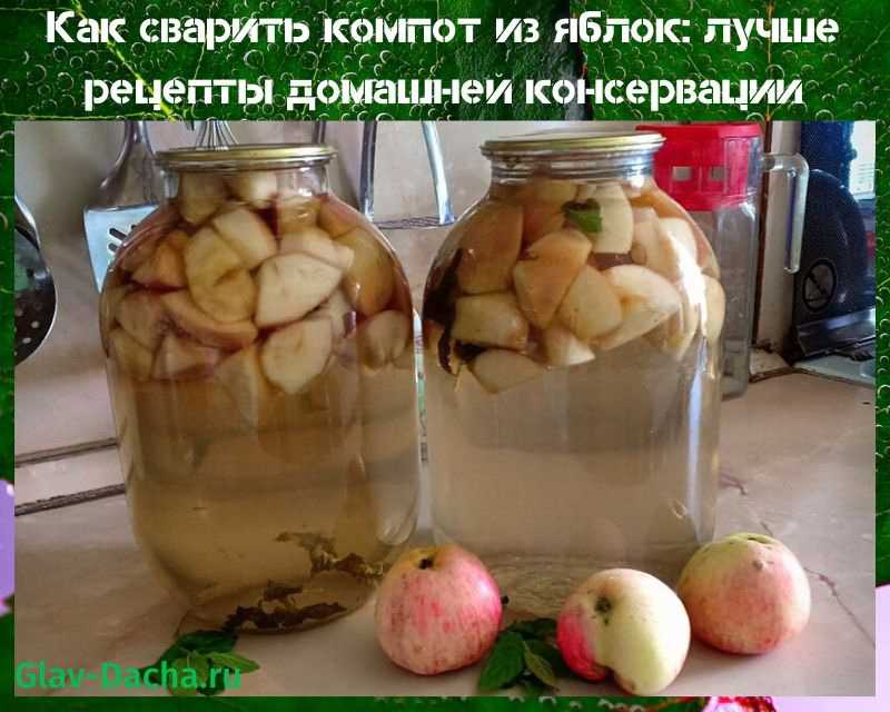 Компот из яблок в кастрюле: рецепты на каждый день