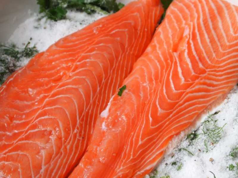 Вкусная засолка лосося в домашних условиях - рецепт, особенности приготовления и рекомендации :: syl.ru