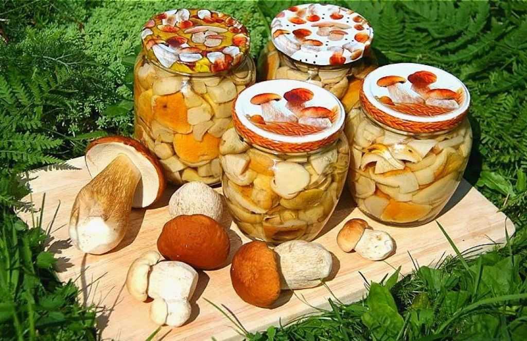Лучшие маринады для грибов – рецепты самых вкусных грибов маринованных на зиму с фото | чудо-повар