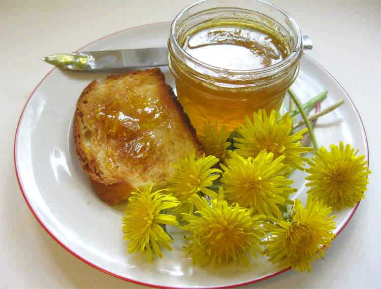 Целебный мед из одуванчиков. самые простые рецепты