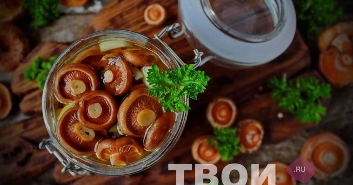 Как заготовить жареные рыжики на зиму: фото, видео, рецепты приготовления грибов способом жарки