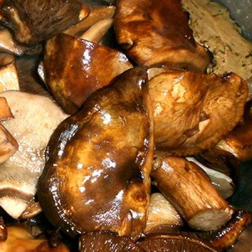 Как солить грибы свинушки горячим способом