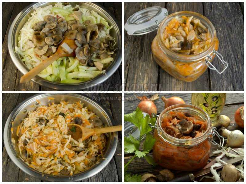 Солянка из капусты с грибами на зиму и к столу: 5 рецептов быстро и вкусно
