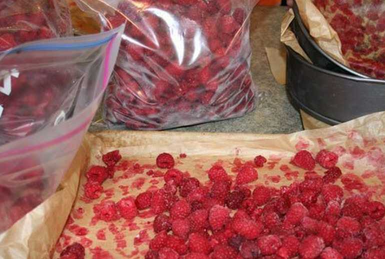 Малина с сахаром - рецепты перетертой, замороженной и вареной ягоды на зиму