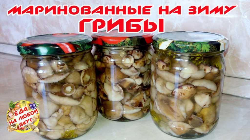 Как солить маслята в домашних условиях: рецепты, подготовка грибов