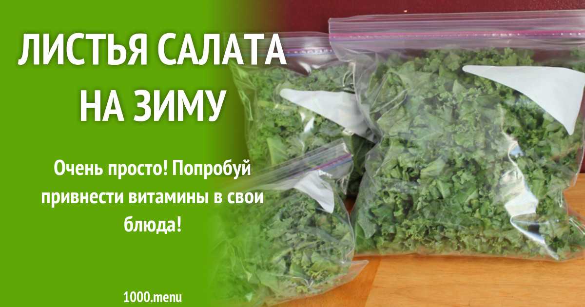 Салат осенний - 4 рецепта на зиму с пошаговыми фото