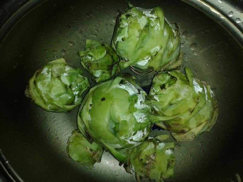 Вкуснейшие заготовки своими руками: рецепты приготовления капусты кольраби на зиму