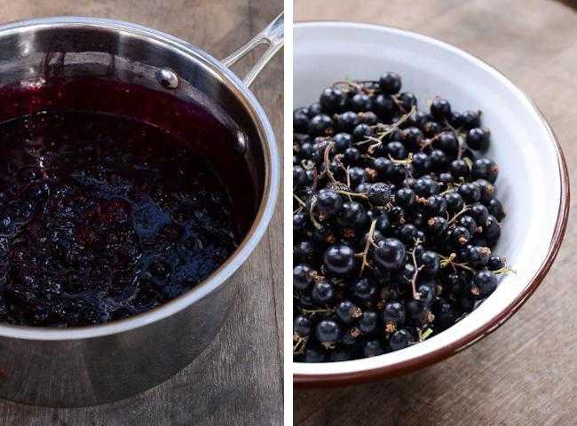 Черная смородина с сахаром на зиму без варки: пропорции, рецепт с фото пошагово