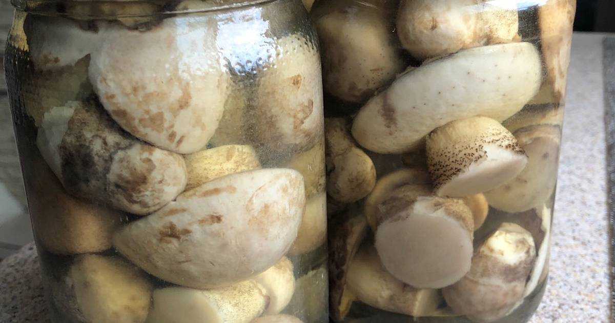 Маринованные белые грибы на зиму — 6 простых рецептов в банках