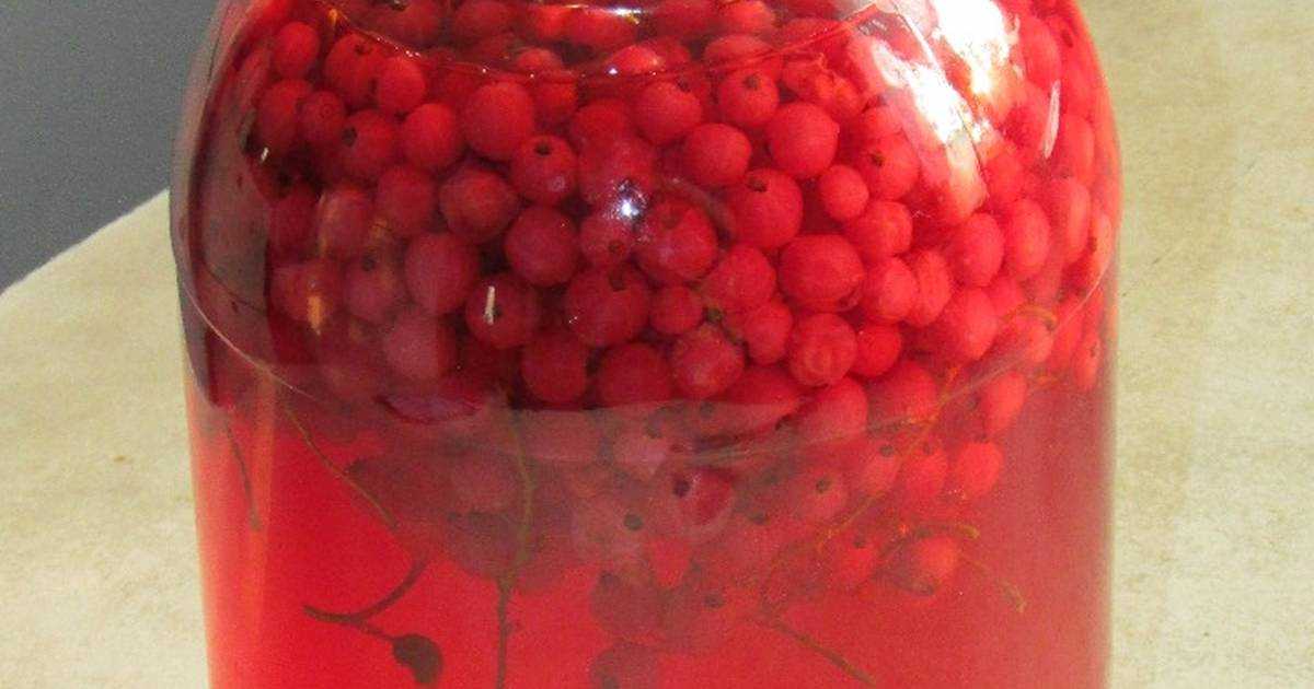 Компот из красной смородины на зиму - 11 простых рецептов с фото