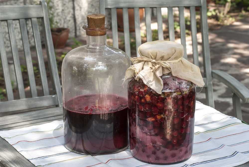 Домашнее вино из варенья: простые пошаговые рецепты с фото