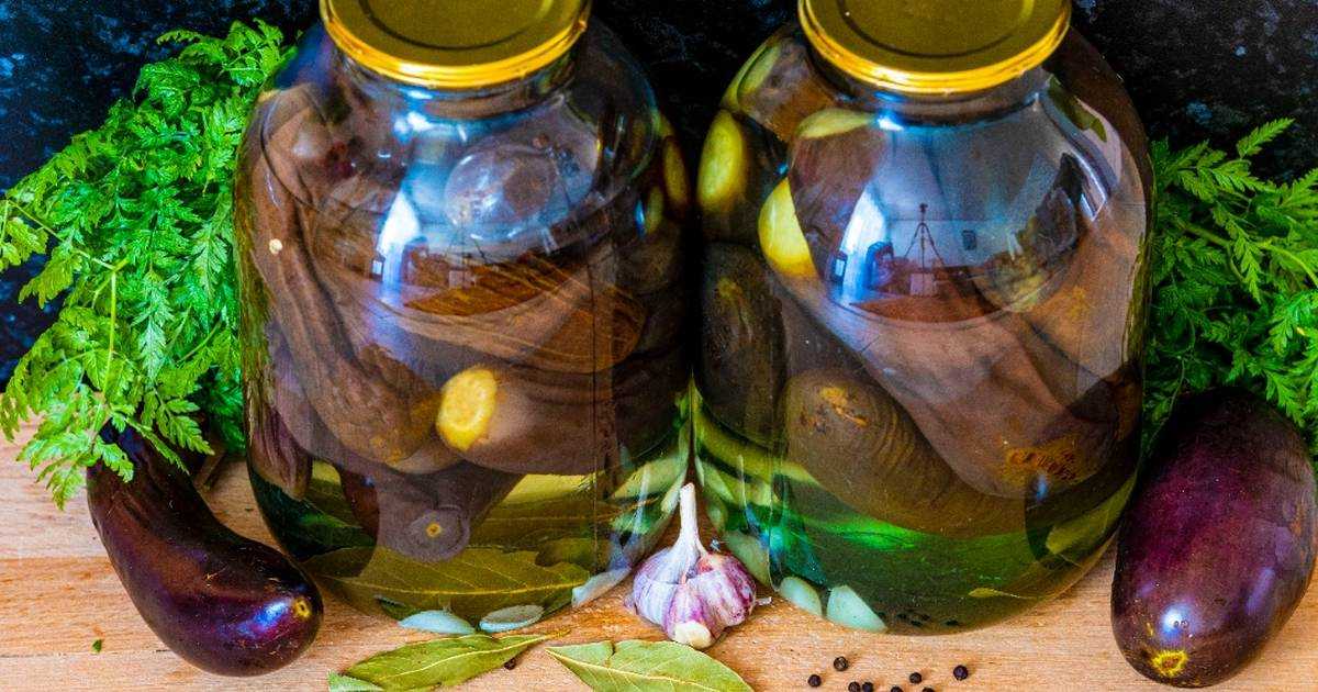Баклажаны как грибы на зиму — 5 лучших рецептов с фото пошагово