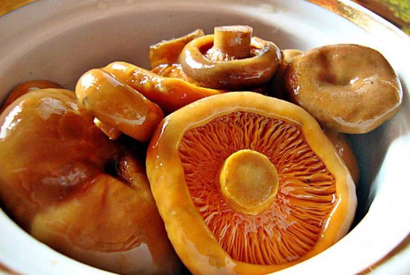Как приготовить самые вкусные грибы рыжики на зиму?