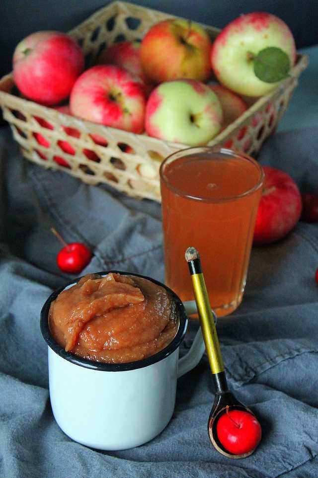 Яблочный сок в домашних условиях на зиму – 10 рецептов с пошаговыми фото