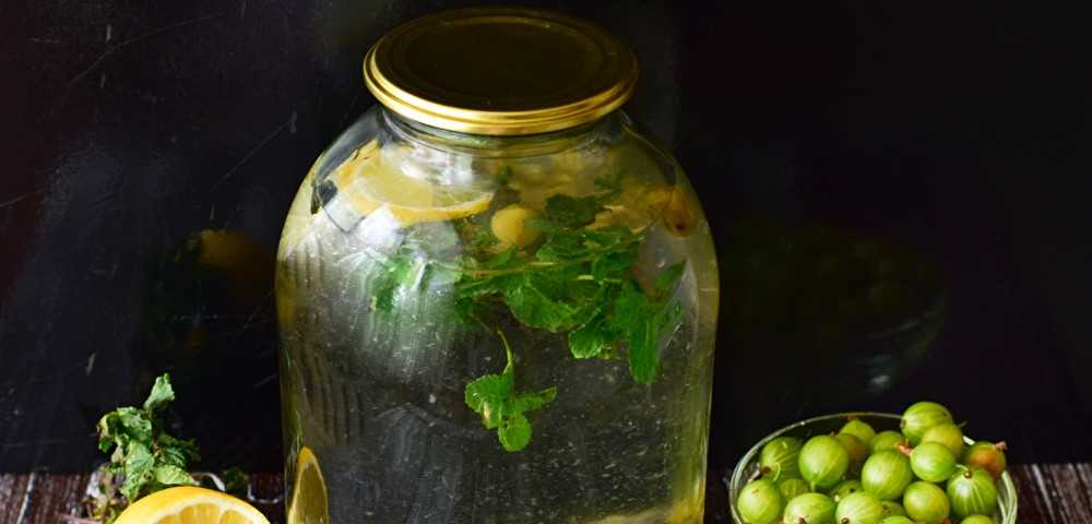 Компот из крыжовника мохито на зиму: топ 9 простых рецептов приготовления