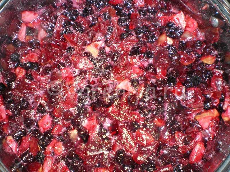 Черноплодная рябина — рецепты приготовления на зиму от давления: как принимать