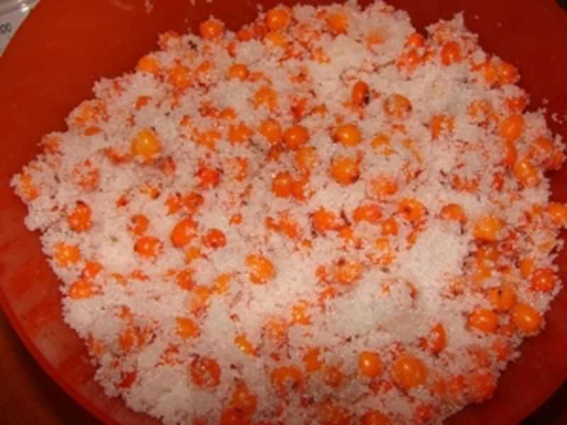 Облепиха с сахаром на зиму без варки - полезные свойства, способы хранения и рецепты протертых ягод, замороженных