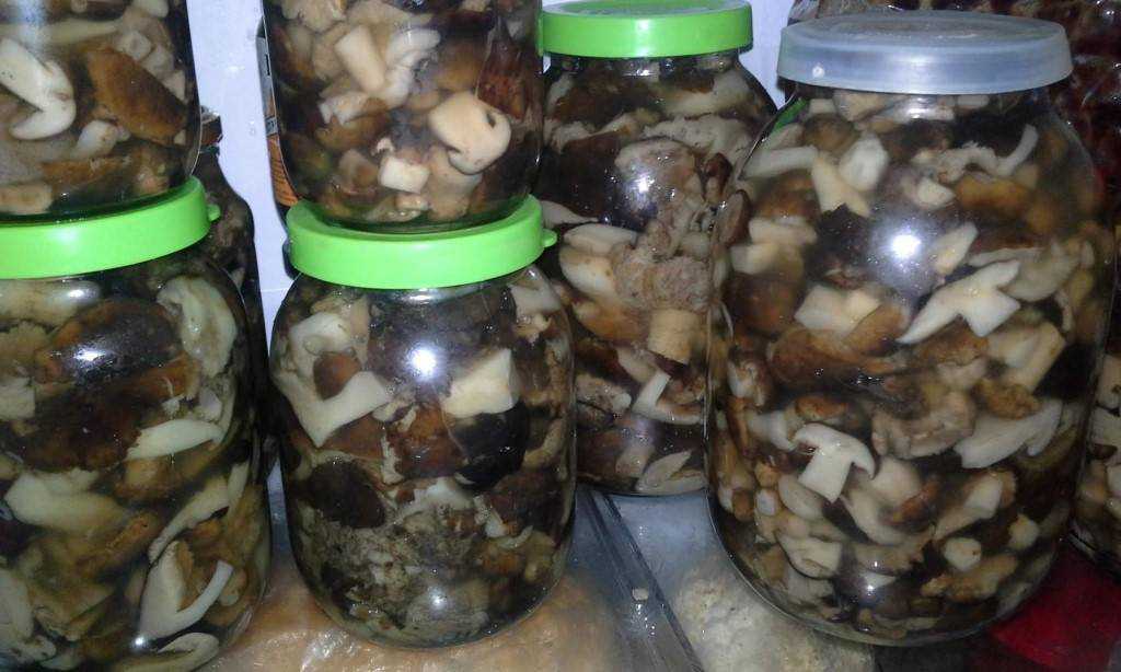 Подберезовики грибы маринованные на зиму | фоторецепт