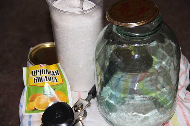Березовый сок — рецепты консервации в домашних условиях