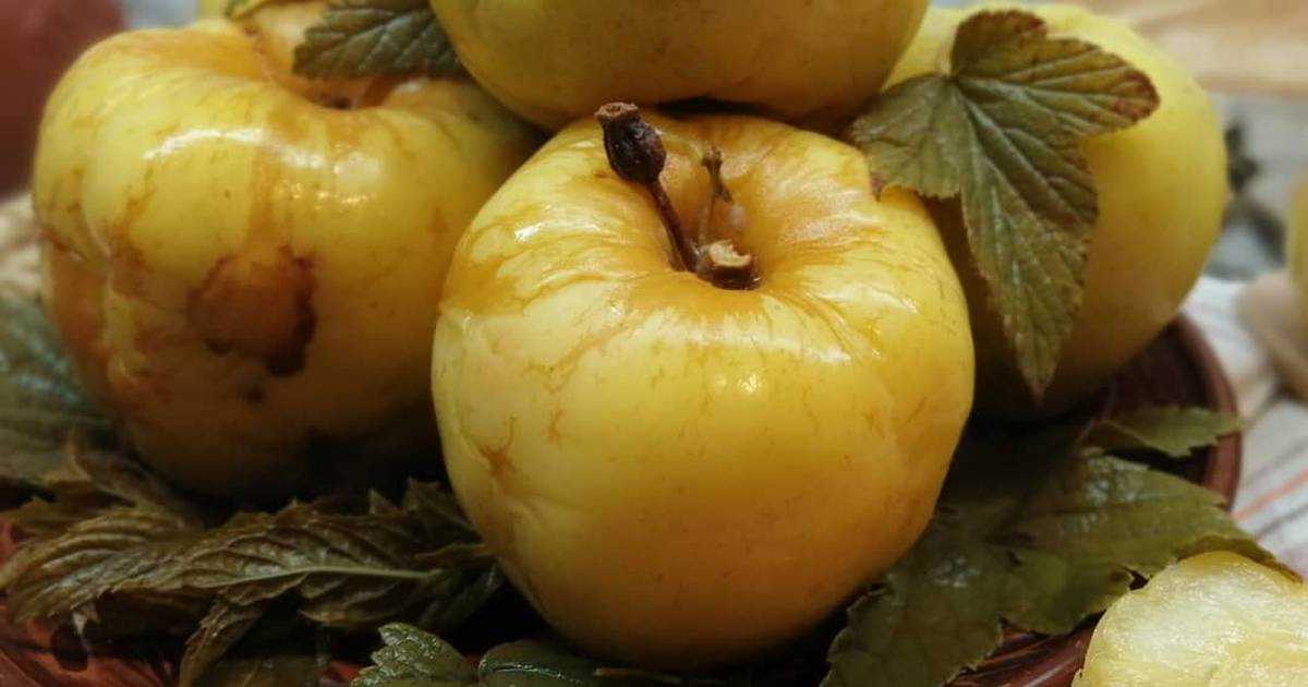 Моченые яблоки на зиму в домашних условиях: простые и вкусные рецепты