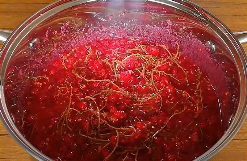 Красная рябина - рецепты заготовок на зиму