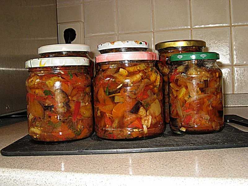 Рагу из баклажанов с овощами (пошаговые рецепты на любой вкус)
