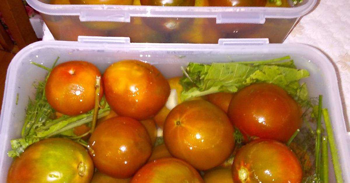 Соленые помидоры в банках, как бочковые: 6 простых рецептов. обсуждение на liveinternet