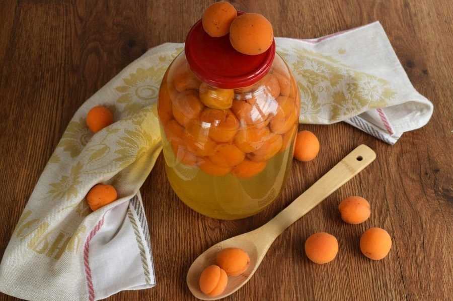 Как приготовить абрикосовый компот из абрикосов на зиму: поиск по ингредиентам, советы, отзывы, пошаговые фото, подсчет калорий, изменение порций, похожие рецепты