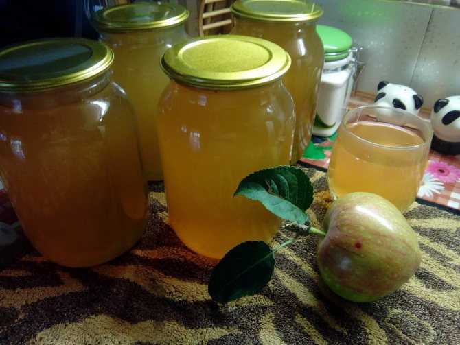 Яблочный сок через соковыжималку на зиму – 5 рецептов в домашних условиях