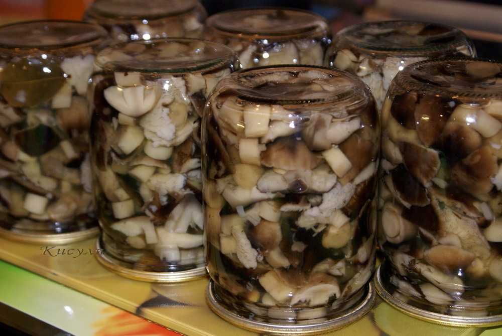 Шампиньоны, консервированные на зиму в домашних условиях: фото, рецепты консервации грибов разными способами