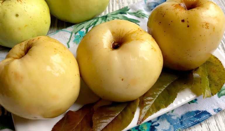 Моченые яблоки на зиму - рецепты на 3х литровую банку