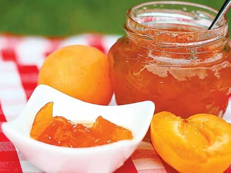Варенье из абрикосов без косточек. 12 вкусных и густых рецептов на зиму