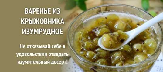 Варенье из крыжовника на зиму - 10 простых и вкусных рецептов с фото пошагово
