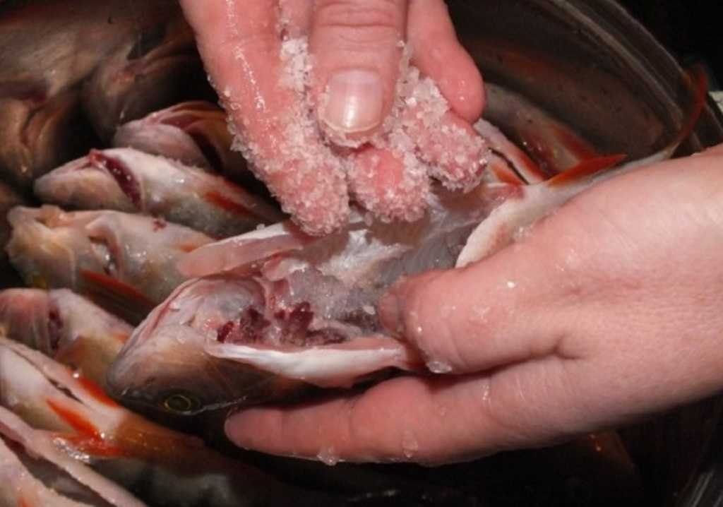Как вкусно засолить красную рыбу: подробные рецепты с фото — самый смак