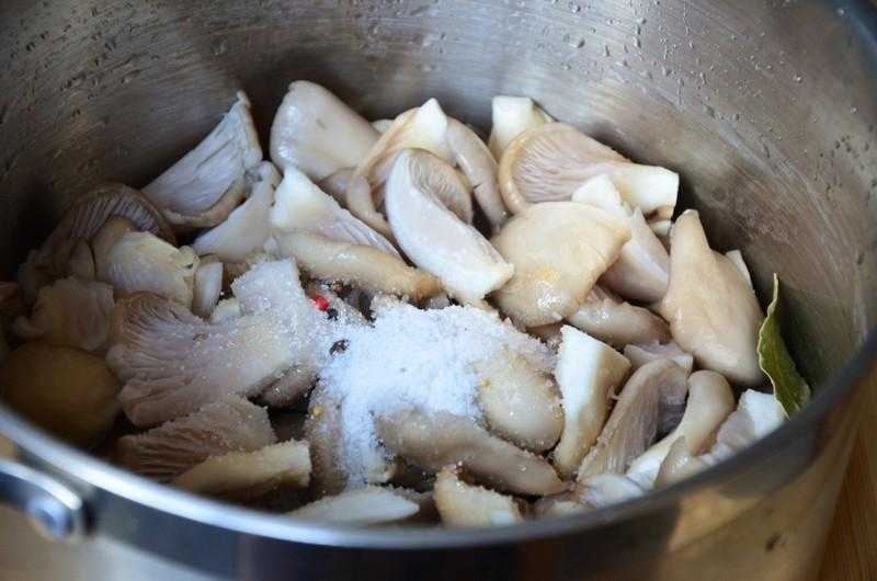 Маринованные вешенки – рецепты заготовки грибов вешенок на зиму