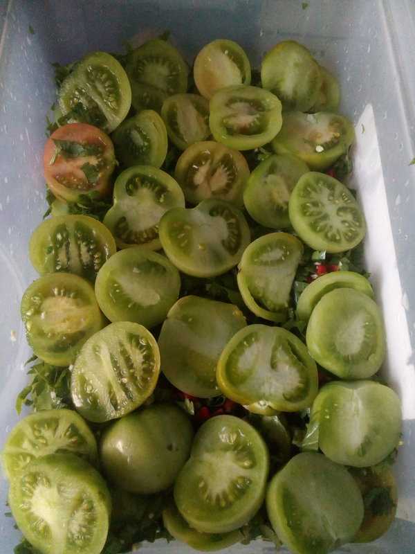 Квашеные зеленые помидоры с чесноком на зиму