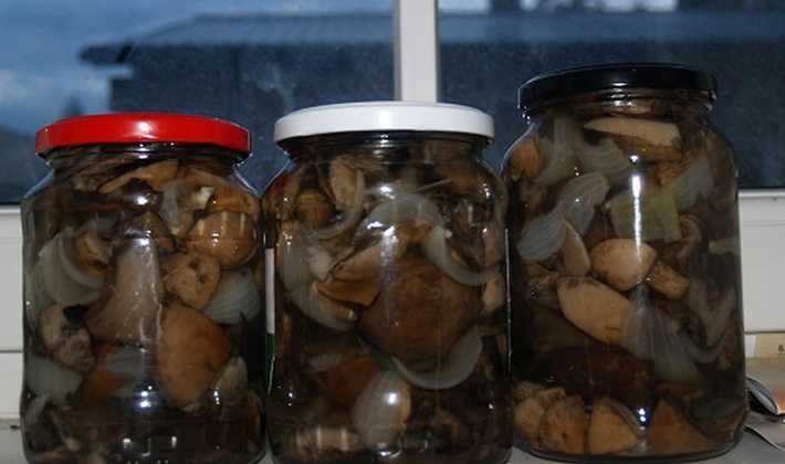 Жареные грибы на зиму - рецепты приготовления в банках без стерилизации, в растительном масле, пошагово с фото и видео